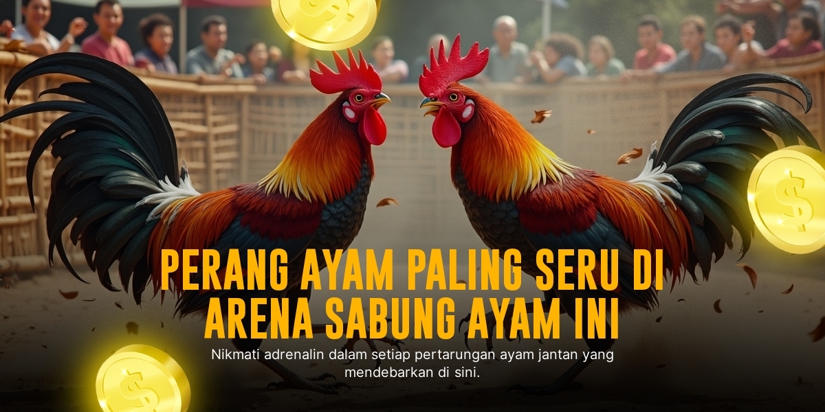 Mengenal Ayam Bangkok: Raja Sabung Ayam dengan Odds Terbaik di SV388